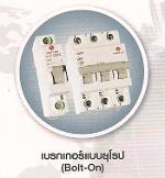 โหลดเช็นเตอร์ SAFE T CUT เมนต์ 2P 45A  ตู้4ช่อง  ลูกเบเกอร์ 4 อัน