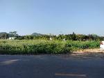 Land for Sell ‼️   ใกล้ ปตท.ทางขึ้นเขาใหญ่ (หนองสาหร่าย)  