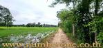 ขายที่ดินถนนทางหลวงชนบทกำแพงเพชร 4004 อ.ทรายทองวัฒนา จ.กำแพงเพชร