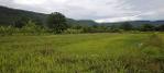 รวมบ้านที่ดินดีงามเพื่อคุณ ที่สวยติดเขา เทือกเขายา ขอนแก่น
