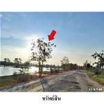 ขายที่ดินว่างเปล่า ต.โพนงาม อ.โกสุมพิสัย จ.มหาสารคาม