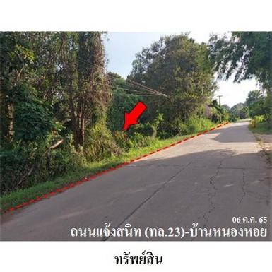 ขายที่ดินว่างเปล่า ต.เขื่องคำ อ.เมืองยโสธร จ.ยโสธร