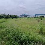 ขายที่ดินเขาคันทรง ศรีราชา ติดนิคมโรจนะ แปลงสวย ราคาดี