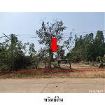 ขายที่ดินว่างเปล่า ต.นิคม อ.สหัสขันธ์ จ.กาฬสินธุ์