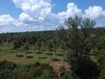 รวมบ้านที่ดินดีงามเพื่อคุณ  ที่ติดทะเลฝั่งแดงSeaview สวยมาก