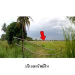 ขายที่ดินว่างเปล่า ต.หมื่นไวย อำเภอ เมืองนครราชสีมา จังหวัด นครรา