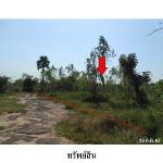 ขายที่ดินว่างเปล่า ต.นาฝาย อ.เมืองชัยภูมิ จังหวัด ชัยภูมิ