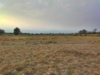 ขาย ที่ดินการเกษตร สองห้อง-นาเชือก หนองสองห้อง ขอนแก่น
