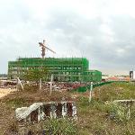 ขายที่ดินผังม่วงนิคมพัฒนาระยอง ขายที่ดินเนื้อที่ 23-2-12 ไร่