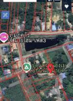 ขายที่ดินพนัสนิคมชลบุรีราคาถูก เนื้อที่ 1 ไร่ 8 ตร.วา
