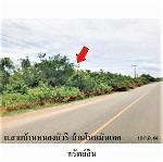 ขายที่ดินว่างเปล่า ต.ท่าช้าง อ.เฉลิมพระเกียรติ จังหวัด นครราชสีมา