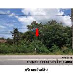 ขายที่ดินว่างเปล่า ถ.สงขลา-นาทวี ต.จะโหนง  อ.จะนะ จ.สงขลา