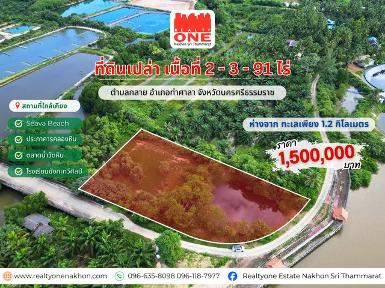 ที่ดินเปล่า เนื้อที่ 2-3-91 ไร่ ใกล้ทะเล อ.ท่าศาลา