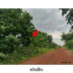 ขายที่ดินว่างเปล่า ต.โชคชัย อำเภอ โชคชัย จังหวัด นครราชสีมา