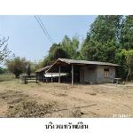 ขายที่ดินว่างเปล่า ต.นิคม อ.สหัสขันธ์ จ.กาฬสินธุ์