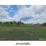 ขายที่ดินว่างเปล่า ต.ท่าช้าง อ.เฉลิมพระเกียรติ จังหวัด นครราชสีมา