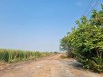 ขายที่ดิน 6 ไร่ ติดถนนสาธารณะ เขต EEC อ.เมืองฉะเชิงเทรา