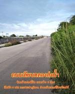 ขายที่สีม่วง  31  ไร่  ต.บางนาง อ.พานทอง จ.ชลบุรี