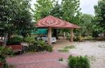 ขายบ้านพร้อมที่ดิน ต.บ้านสาง อ.เมือง จ.พะเยา 1ไร่1งาน77ตรว.