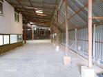 เลียบคลองภาษีเจริญฝั่ง ม.เอเชียอาคเนย์ หนองแขม เช่าโกดัง 750ตร.ม.