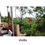 ขายที่ดินว่างเปล่า ถ.สายชัยภูมิ-ตาดโตน ต.รอบเมือง อ.เมือง จ.ชัยภู