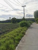 ให้เช่าที่ดินศรีราชาชลบุรี ให้เช่าที่ดิน 10 ไร่   