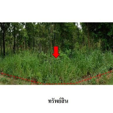 ขายที่ดินว่างเปล่า ต.รอบเมือง อำเภอ เมืองชัยภูมิ จังหวัด ชัยภูมิ