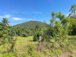 ที่ดินแม่ทาแปลงสวยเหมาะทำบ่านสวนราคาต่อรองได้อีก