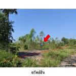 ขายที่ดินว่างเปล่า ต.นาฝาย อ.เมืองชัยภูมิ จังหวัด ชัยภูมิ