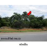 ขายที่ดินว่างเปล่า ถนน มะลิวัลย์ (ทล.12) ต.โนนอุดม อ.ชุมแพ จ.ขอนแ