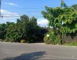 ขายที่ดิน 2-3-67ไร่ 3.5ล. ต.หนองช้างคืน เมืองลำพูน