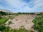 ขายที่ดิน รังสิต คลอง 2 ซอยบงกต 33 คลองหลวง ถมแล้ว แปลงสวย ขนาด 6