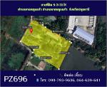 ขายที่ดินถมแล้ว 5-3-31 ไร่  ลาดหลุมแก้ว ปทุมธานี