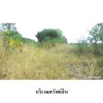 ขายที่ดินว่างเปล่าโครงการ ชุมชนบ้านอ้อคำ อ.ซำสูง จ.ขอนแก่น