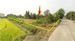 ที่ดินคลอง11 ลำลูกกา (ฝั่งตะวันออก) 3 ไร่ 227 ตร.ว.