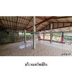 ขายบ้านเดี่ยว ต.พระยืน อำเภอ พระยืน จังหวัด ขอนแก่น