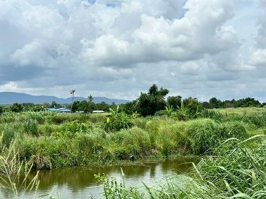ขายที่ดินหนองขาม ติดกับไร่คาราวาน ศรีราชา แปลงสวย ราคาดี