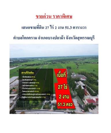 ขายด่วน ที่ดิน อำเภอบางปลาม้า จังหวัดสุพรรณบุรี 