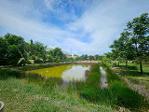 ขายที่ดิน รังสิต คลอง 2 ซอยบงกต 33 คลองหลวง ถมแล้ว แปลงสวย ขนาด 6