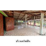 ขายบ้านเดี่ยว ต.พระยืน อำเภอ พระยืน จังหวัด ขอนแก่น