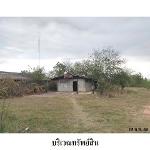 ขายที่ดินเปล่า ต.หนองแวงโสกพระ อ.พล จ.ขอนแก่น
