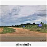 ขายที่ดินว่างเปล่า ต.ท่าช้าง อ.เฉลิมพระเกียรติ จังหวัด นครราชสีมา