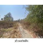 ขายบ้านเดี่ยว ต.บัวขาว อ.กุฉินารายณ์ จ.กาฬสินธุ์