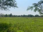ขายที่ดินทำเลหางดง ขายต่ำกว่าราคาประเมิน