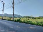 Land for Sell ‼️   ใกล้ ปตท.ทางขึ้นเขาใหญ่ (หนองสาหร่าย)  