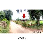 ขายบ้านเดี่ยว ตำบล โคกล่าม อำเภอ ลำปลายมาศ จังหวัด บุรีรัมย์