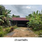 ขายบ้านเดี่ยว ต.ชุมพล อ.สทิงพระ จังหวัดสงขลา