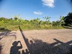    ขายที่ดินสวย กลางเมืองหนองคาย