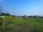 ขายที่ดิน3ไร่80ว. บ้าน2ชั้น 9.8ล. หนองบัว ไชยปราการ เชียงใหม่