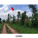 ขายที่ดินว่างเปล่า ต.ชีลอง อำเภอ เมืองชัยภูมิ จังหวัด ชัยภูมิ